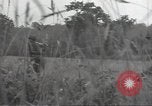 Image of United States soldiers Marigny France, 1944, second 60 stock footage video 65675075115