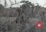 Image of United States soldiers Marigny France, 1944, second 61 stock footage video 65675075115
