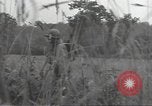 Image of United States soldiers Marigny France, 1944, second 62 stock footage video 65675075115