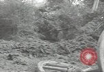 Image of United States soldiers Normandy France, 1944, second 18 stock footage video 65675075116