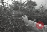 Image of United States soldiers Normandy France, 1944, second 4 stock footage video 65675075118