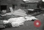 Image of United States intelligence officers Tokyo Japan, 1945, second 62 stock footage video 65675075122