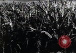 Standbild Philippinische Arbeiter ernten manila Hanf mit Kuttern auf langen Stangen Davao Philippinen, 1943, aus Sekunde 38 historischem Filmmaterial Videoclip 65675075126