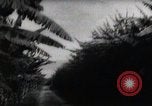 Standbild Philippinische Arbeiter ernten manila Hanf mit Kuttern auf langen Stangen Davao Philippinen, 1943, aus Sekunde 47 historischem Filmmaterial Videoclip 65675075126