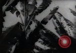 Standbild Philippinische Arbeiter ernten manila Hanf mit Kuttern auf langen Stangen Davao Philippinen, 1943, aus Sekunde 53 historischem Filmmaterial Videoclip 65675075126