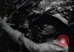 Standbild Philippinische Arbeiter ernten manila Hanf mit Kuttern auf langen Stangen Davao Philippinen, 1943, aus Sekunde 59 historischem Filmmaterial Videoclip 65675075126