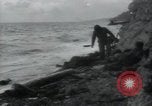 Immagine di Truppe alleate Normandia Francia, 1944, secondo 41 filmato di repertorio 65675075133