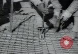 Image of United States troops Normandy France, 1944, second 38 stock footage video 65675075135