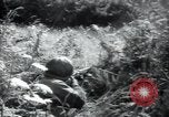 Image of United States troops Saint Lo France, 1944, second 10 stock footage video 65675075136