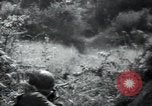 Image of United States troops Saint Lo France, 1944, second 14 stock footage video 65675075136