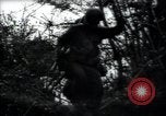 Image of United States troops Saint Lo France, 1944, second 30 stock footage video 65675075136