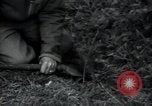 Image of United States troops Saint Lo France, 1944, second 59 stock footage video 65675075136