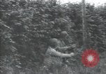 Image of United States soldiers Saint Lo France, 1944, second 60 stock footage video 65675075138