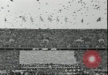 Immagine di Adolf Hitler Berlino Germania, 1936, secondo 16 filmato di repertorio 65675075155