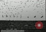 Immagine di Adolf Hitler Berlino Germania, 1936, secondo 17 filmato di repertorio 65675075155