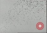 Immagine di Il cancelliere Adolf Hitler Berlino Germania, 1936, secondo 46 filmato di repertorio 65675075156