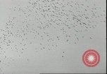 Immagine di Il cancelliere Adolf Hitler Berlino Germania, 1936, secondo 47 filmato di repertorio 65675075156