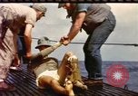 Image of USS Batfish Pacific Theater, 1945, second 48 stock footage video 65675075191