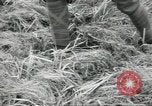 Image of Japanese marines invade Kiska Aleutian Islands Aleutians, 1942, second 17 stock footage video 65675075194
