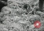 Image of Japanese marines invade Kiska Aleutian Islands Aleutians, 1942, second 18 stock footage video 65675075194