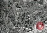 Image of Japanese marines invade Kiska Aleutian Islands Aleutians, 1942, second 22 stock footage video 65675075194
