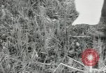 Image of Japanese marines invade Kiska Aleutian Islands Aleutians, 1942, second 23 stock footage video 65675075194