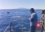 Standbild USA line Handler Palomares Spanien, 1966, aus Sekunde 35 historischem Filmmaterial Videoclip 65675075198