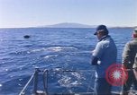 Standbild USA line Handler Palomares Spanien, 1966, aus Sekunde 36 historischem Filmmaterial Videoclip 65675075198