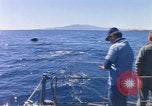 Standbild USA line Handler Palomares Spanien, 1966, aus Sekunde 37 historischem Filmmaterial Videoclip 65675075198