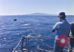 Standbild USA line Handler Palomares Spanien, 1966, aus Sekunde 40 historischem Filmmaterial Videoclip 65675075198