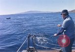 Standbild USA line Handler Palomares Spanien, 1966, aus Sekunde 52 historischem Filmmaterial Videoclip 65675075198