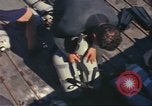 Standbild USA Taucher Palomares Spanien, 1966, aus Sekunde 50 historischem Filmmaterial Videoclip 65675075201