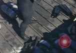 Standbild USA Taucher Palomares Spanien, 1966, aus Sekunde 59 historischem Filmmaterial Videoclip 65675075201