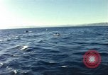 Image of United States personnel Palomares Spain, 1966, second 21 stock footage video 65675075205