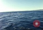 Image of United States personnel Palomares Spain, 1966, second 25 stock footage video 65675075205