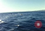 Image of United States personnel Palomares Spain, 1966, second 26 stock footage video 65675075205