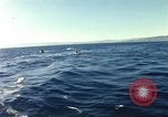 Image of United States personnel Palomares Spain, 1966, second 27 stock footage video 65675075205