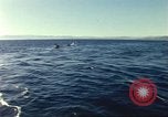 Image of United States personnel Palomares Spain, 1966, second 37 stock footage video 65675075205