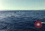Image of United States personnel Palomares Spain, 1966, second 38 stock footage video 65675075205
