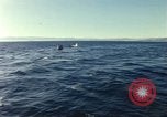 Image of United States personnel Palomares Spain, 1966, second 44 stock footage video 65675075205
