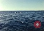 Image of United States personnel Palomares Spain, 1966, second 45 stock footage video 65675075205