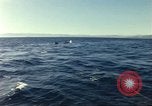 Image of United States personnel Palomares Spain, 1966, second 46 stock footage video 65675075205