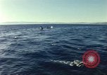 Image of United States personnel Palomares Spain, 1966, second 51 stock footage video 65675075205