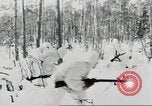 Immagine di La fanteria tedesca Fronte orientale teatro europeo, 1941, secondo 36 filmato di repertorio 65675075209