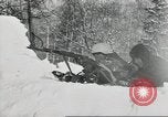 Immagine di La fanteria tedesca Fronte orientale teatro europeo, 1941, secondo 45 filmato di repertorio 65675075209