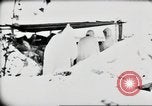 Standbild deutsche Panzer Ostfront europäischen Theater, 1941, aus Sekunde 40 historischem Filmmaterial Videoclip 65675075210