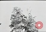 Standbild deutsche Panzer Ostfront europäischen Theater, 1941, aus Sekunde 50 historischem Filmmaterial Videoclip 65675075210