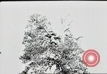 Standbild deutsche Panzer Ostfront europäischen Theater, 1941, aus Sekunde 53 historischem Filmmaterial Videoclip 65675075210