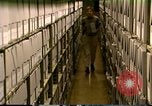 Standbild Storage Shelves Washington DC USA, 1990, aus Sekunde 54 historischem Filmmaterial Videoclip 65675075217