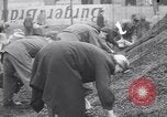 Image of Starving and desperate German civilians after World War 2 Munich Germany, 1945, second 14 stock footage video 65675075224